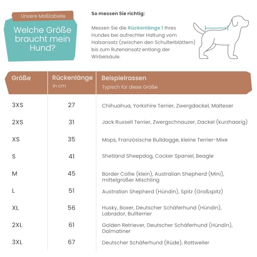 MS-Trachten Hundemantel Softshell Wasserfest Winddicht Hundemantel mit Leinenportal und Klettverschluss (Hellblau, XL)