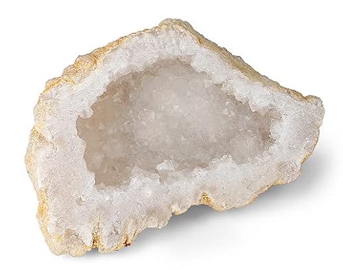 XIANNVXI NX^ƃq[OXg[ NANH[c WI[h i` H A CL Xs`A GlM[ NX^[ esKȕ 傫ȃNX^ z[ ItBX fXN 200g - 300g