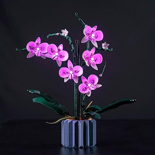 Led Licht Set Kompatibel mit Lego Orchidee (Nur Lichter, kein Baustein), Licht-Kit Compatible with Lego 10311 Orchidee Botanical Collection Set