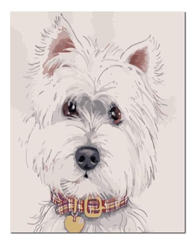 Peinture par numéros adultes chien blanc 40x50cm avec cadre bois