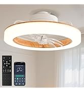 Amazon.co.jp : 【メモリー・正逆回転・小型】SUKITEN シーリング