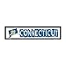Connecticut State Outline Novelty Metal Vanity Small Street Sign K-306