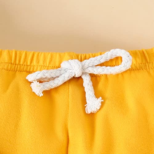 Ternos para meninos e meninos, manga curta, estampa de dinossauro, camiseta, shorts, roupas de bebê