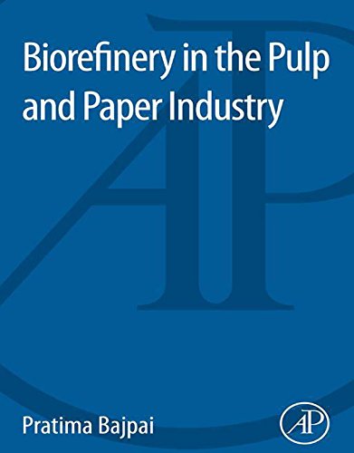 Biorefinery in the Pulp and Paper Industry (English Edition)