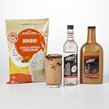 Big Train and DaVinci Gourmet Shaken Toasted Coconut Iced Latte Bundle Pack