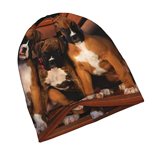 Puppies Dogs Pets Animals Beanie Hat Fashion Knit Hat Soft Stretch Slouchy Hip-Hop Sleep Cap For Women Men Black #TOP3