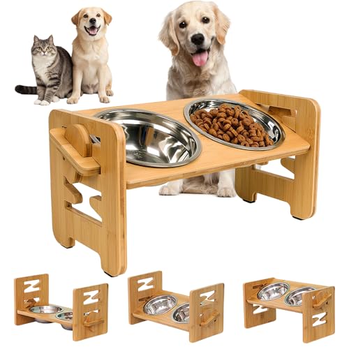Ciotola per cani rialzata con supporto, ciotola rialzata per cani di piccola taglia e gatti con 2 ciotole in acciaio inox, antiscivolo