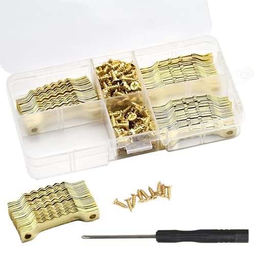 100 ganci e 200 viti con un cacciavite per cornice portafoto a doppio foro in metallo per fissaggio fotografico appeso cornice poster tela lavoro