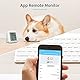 THIRDREALITY Zigbee Temperature and Humidity Sensor with Digital LCD Display, ZigBee Hub Required, App Records, Remote Monitoring and Smart Home Automation, AAA Batteries Included