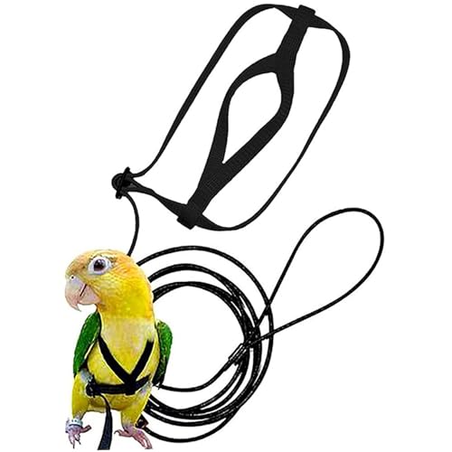 Xoeryoy Bird Harness, Adjustable Bird Leash Pet Training Supplies Anti-bite Outdoor Flying Nylon Rope for Conures Budgerigar Lovebird Cockatiel Mynah