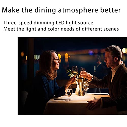 Sadrim Usb Rechargeable Bar Table Lamp, Cordless Table Lamp With Touch Switch, Portable Night Light For Bar/Restaurant/Home/Office Décor #TOP6