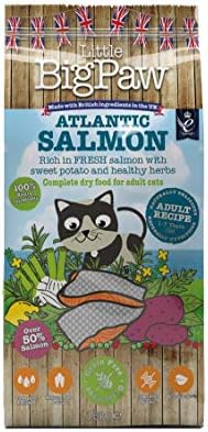 Little BigPaw Atlantic Salmon Complete dry food for Adult Cats 1.5kg
