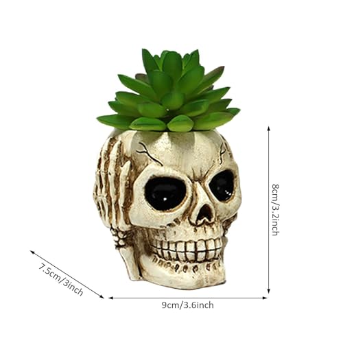 Macetero para plantas suculentas de resina resistente con diseño divertido 5