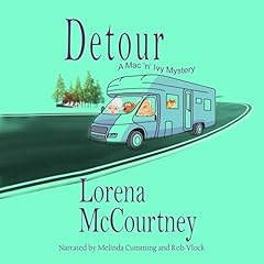 Couverture de Detour