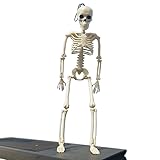 pc doctor module que es Taille du produit: 40 * 10 cm Matériel de produit: Plastique