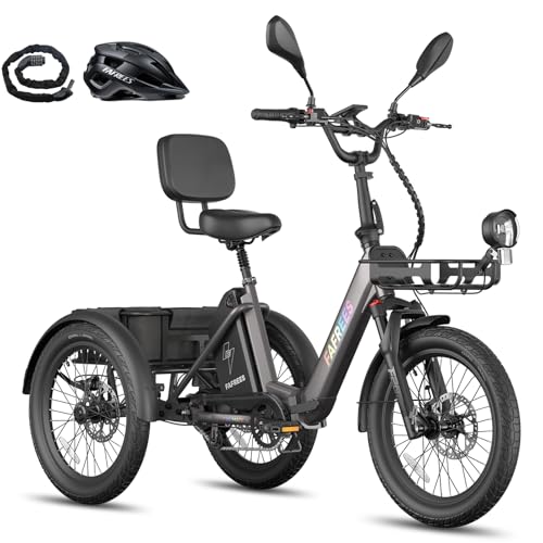 Fafrees F20 MATE II Elektrische Driewieler, 250W Fiets met 3 Wielen van 20"*2,5", 21Ah 1008Wh Accu, Voormand + Achterdrager, Elektrische Cargodriewieler voor Volwassenen en Senioren (Gunmetal zwart)