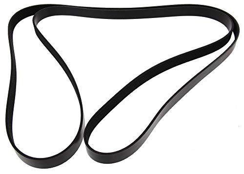 Courroie MAPCO 272418 anti-patinage pour alternateur auto