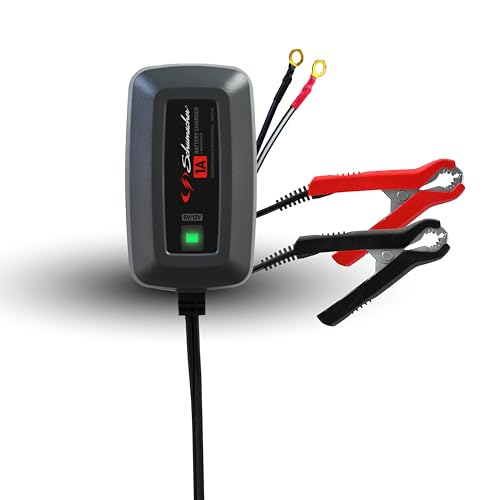 Schumacher 6V/12V Auto Battery Charger & Maintainer SC1586