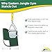 Eastern Jungle Gym Heavy-Duty High Back Half Bucket Toddler Swing Seat with Coated Swing Chains and Safety Strap