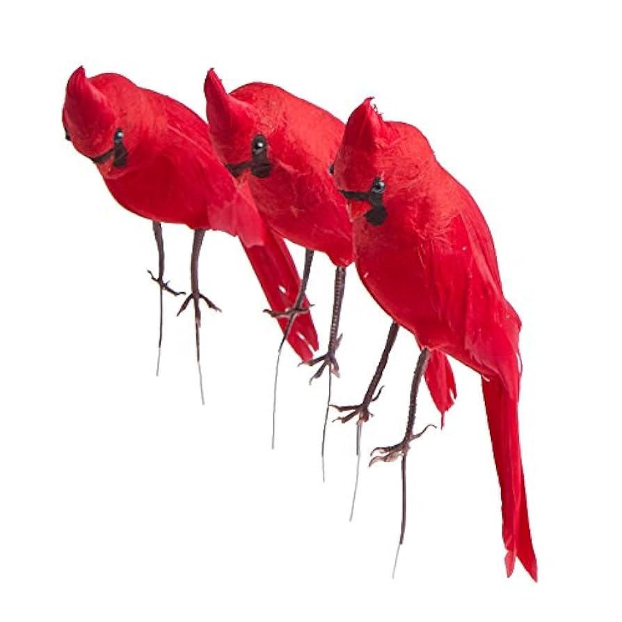 Amazon.com: Factory Direct Craft Red Feathered Cardinal