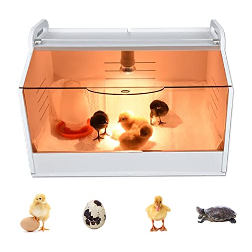 Boîte d'élevage de poussins - Cubateur de couvain - Lampe chauffante - Maison d'élevage - Reptiles - Volaille - Incubateur avec thermomètre - 220 V