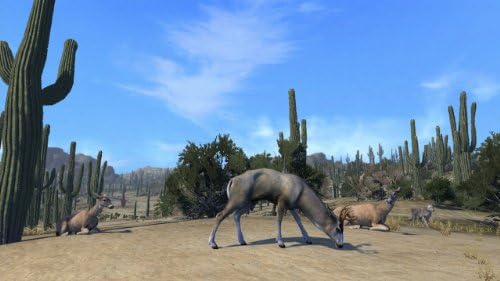 Cabela's Big Game Hunter Pro Hunts [Online Game Code] - 2