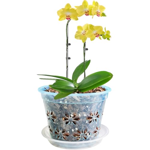 Blumiger Orchid Pot, 8 Pack Orchid Pots with Holes & Saucers, Clear Plastic Pot for Repotting, Breathable Ventilation Planters for Phalaenopsis, Dendrobium & Oncidium Orchids(4 inch, Blue)