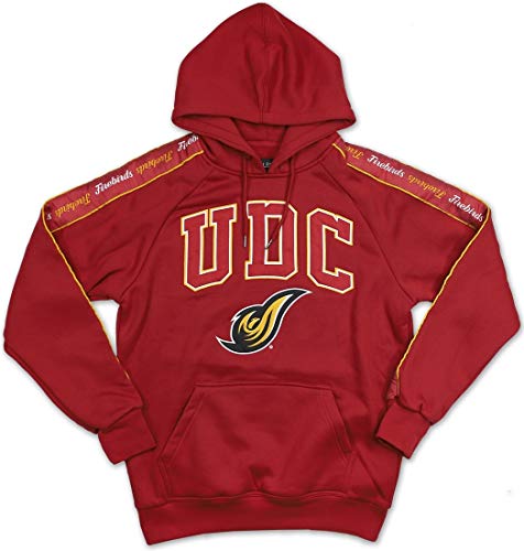 Big Boy District of Columbia Firebirds S5 Mens Pullover Hoodie [Crimson Red] - ID#8452-54-225-0-0