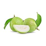 Fresh Guava Fruits from Califonia Farm, 100% Organic Tropical White Guava, Grown in California (3 lbs)