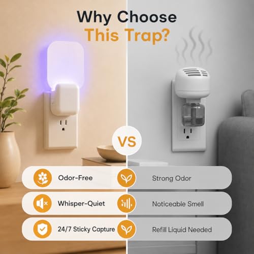Image of Fruit Fly Traps for Indoors Cozlite: Upgraded Flying Insect Trap with 3 Refills - Bug Catcher for Gnat Mosquito Moths - Suitable for House Home Kitchen