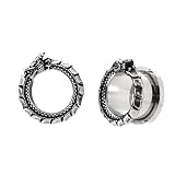 TURTLEDOVE Ouroboros Dragon Ear Gauges, Stainless Steel Ear Tunnels 2Pcs, Ear Expanders for Stretched Ears Body Jewelry (9/16' (14mm))