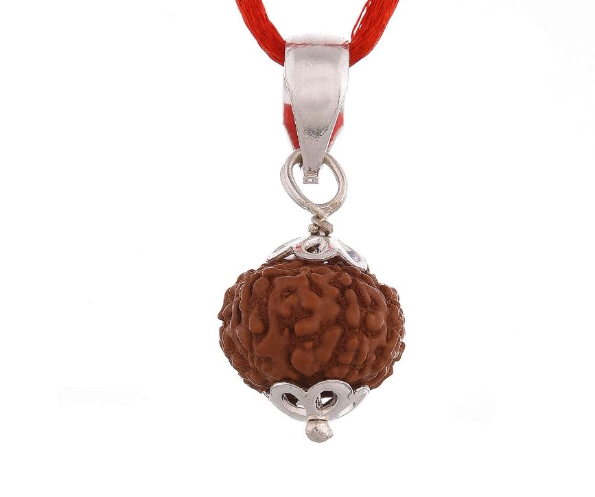5 Mukhi Indonesia Rudraksha Original Certified With Silver Capping Panchmukhi Rudraksha Pendant Small Bead-image-7