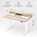 TIQLAB Standing Desk with Two Drawers, Stand Up Standing Desk Adjustable Height, Electric Sit Stand Table with Storage Shelf and Splice Board, 48 * 24 inch, Maple