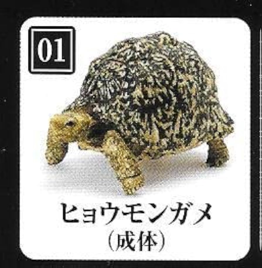 カメカメ カメ元気 カメの底砂 2.5kg | ジェックス株式会社