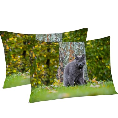 Housse de couette 200x200 chat fermeture éclair pour un lit double zippé - 5
