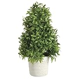 Park Hill Collection Garden Floral Mountain Savory Cone Topiary, Medium