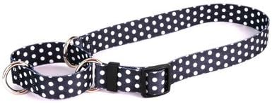 Polka Dot Martingale Dog Collar Size: Medium (1" x 20"), Color: Pink / Green