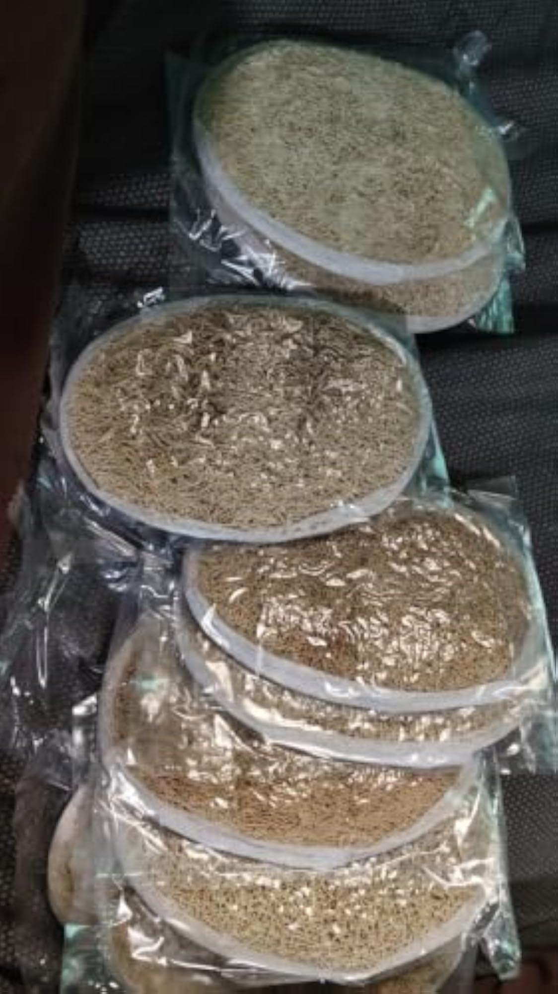 Bath Coir Sponge