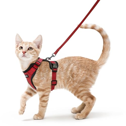 Image of rabbitgoo Cat Harness and Leash Set, Escape Proof Vest, Red | Soft Breathable Mesh, Easy Adjustable Fit, Snap Buckles, Sturdy Clip, Reflective Strips, for Small & Average Cats Walks, Xs