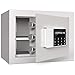 Bezpieczne pudełko, wodoodporne ognioodporne Sejfy szafek, Portable Security Safe Box, Fireproof Wodoodporna z blokadą hasłem Elektroniczne hasło Sejf (Kolor: biały) Do głównej pamięci masowej pistole