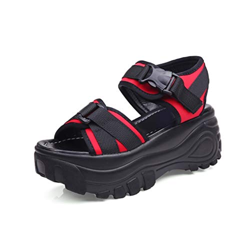 [hhV[Y] X|[cT_ X|[c T_ fB[X  q[ ؂   ItBX Xgbv 23.0cm AEghA ėp t   TCY 傫TCY Ȃ Xj[J[ T_  8cm }WbNe[