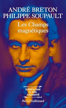 Les champs magnétiques cover