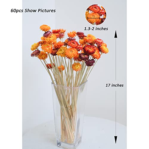 Ramo de flores secas naturales TEWEIQI 20 piezas miniatura 6