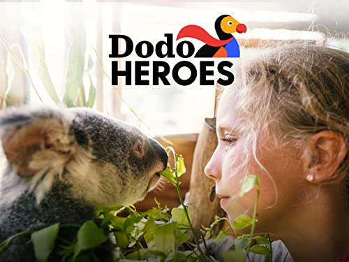 Dodo Heroes Season 1