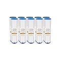 10 x 2.5 inch 10 Micron Pleated Sediment Washable Filter Replacement Cartridge For 10" Whole House Filtration System Compatible W50PE WFPFC3002 SPC-25-1050 FM-50-975 ECP5-10 3WH-STDPL-F02 (10 Pack)