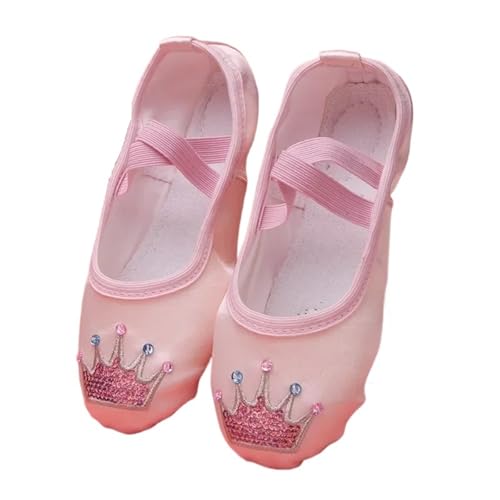 Ballet Slippers Children's Dance Shoe Soft Sole Practicing Cat Claw Satin Embroidery Ballet Body Yoga Girl Indoor Gymnastics Shoes