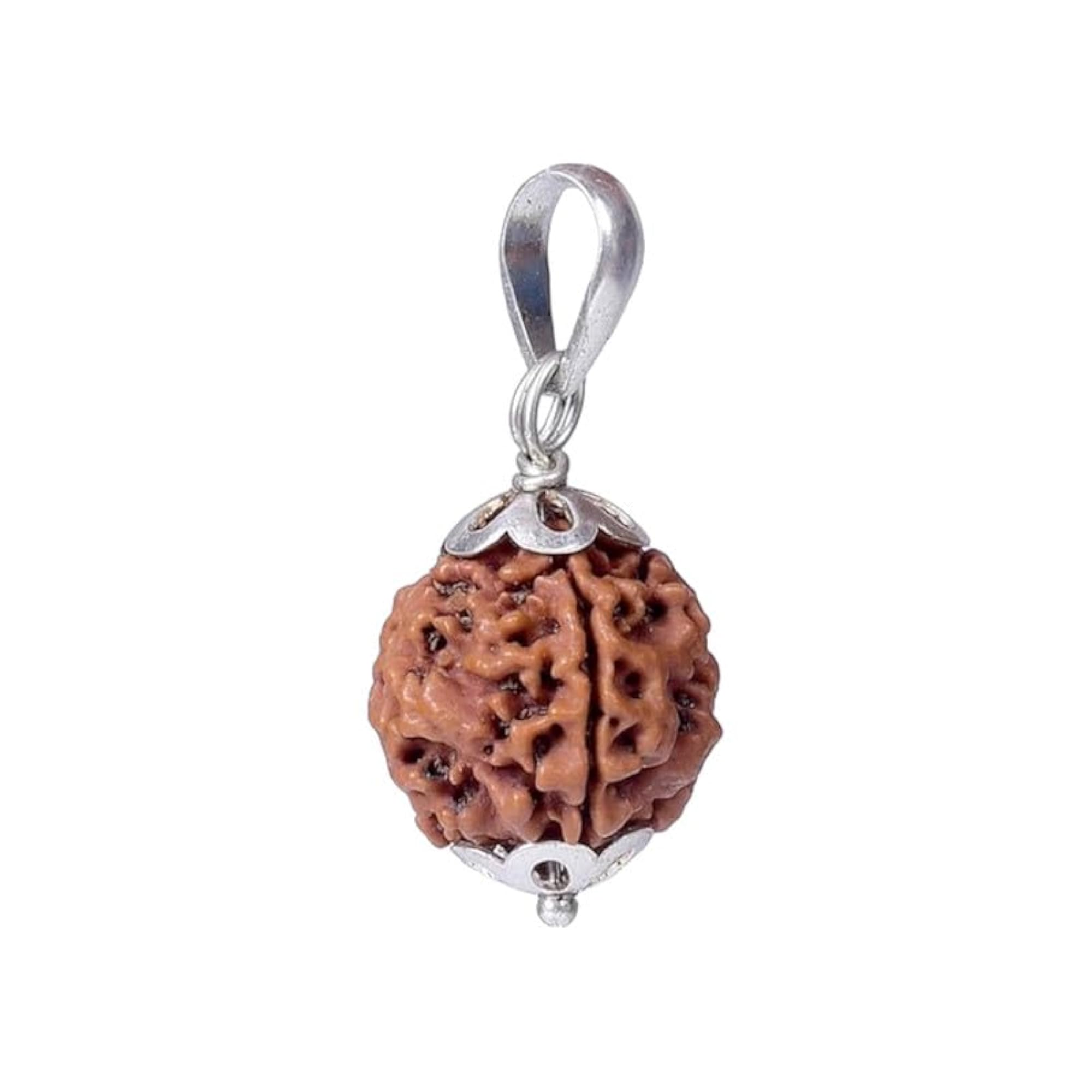 4 Mukhi Rudraksha Bead, Certified for Pendant Making