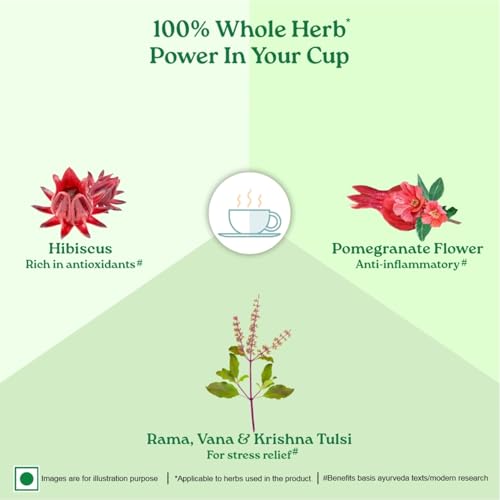 Image of A TATA Product - Organic India Tulsi Green Tea Pomegranate - 25 Tea Bags, Certified Organic, Stress Relief, Rich in Antioxidant, Tulsi & Pomegranate Infusion