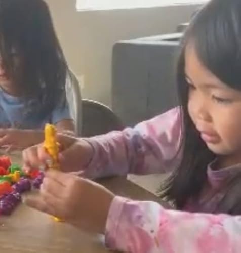 Skoolzy Rainbow Stacking Bears With Matching Sorting Cups 69 Piece Toys_And_Games Set For Baby, Kid, 60 Bear Counters, Scissor Tongs, Rainbow Cups, Storage Bag, Dice #TOP4