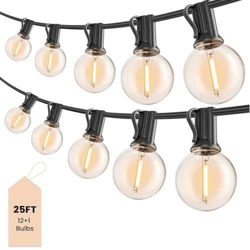 Outdoor String Lights 25 ft, G40 Led Patio Light with 13pcs Bulbs, Shatterproof Waterproof Dimmable...